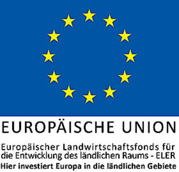 EU- Logo - hier investiert