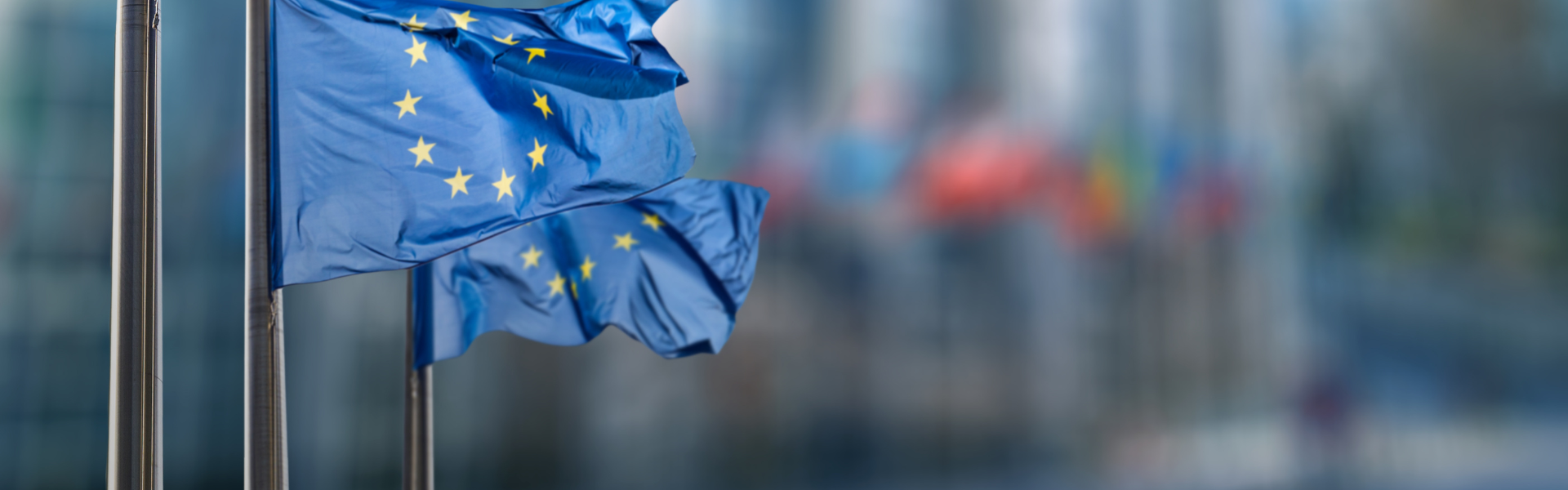 EU Flaggen am Fahnenmast