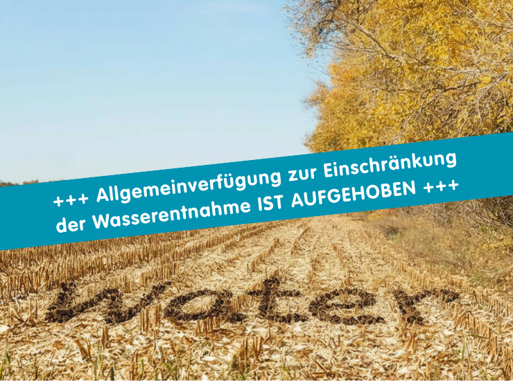 Maisfeld mit dem Wort Water